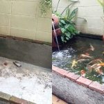 รีวิวการสร้างบ่อปลาด้วยตัวเองแบบง่ายๆ ด้วยงบพันกว่าบาท ออกมาแจ่มเลย
