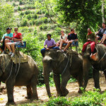 อันดับ1 รีวิว ทัวร์ขี่ช้าง ทัวร์นั่งช้าง ภูเก็ต ขี่ช้างภูเก็ต นั่งช้างภูเก็ต