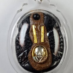 สาริกาไม้งิ้วดำ