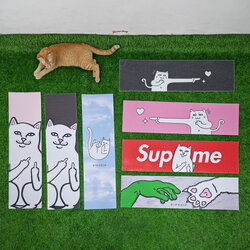 [0304][พร้อมส่ง]สติ๊กเกอร์กระดาษทราย 83x24cm ลายแมวขาว ขายโดยแมวส้ม