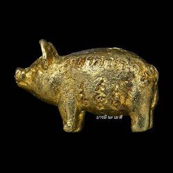 พญาหมู มหาลาภ ปลดหนี้ (ตัวพ่อ แยกจากชุด ครอบครัว) เนื้อ : ทองทิพย์