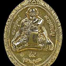 เหรียญสาริกานาคพงษ์ ๙๔ เนื้อ : กะไหล่ทอง