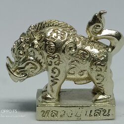 พญาหมูป่ามหาลาภ