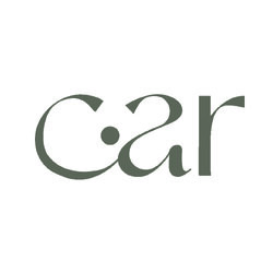 case.aroyriiez