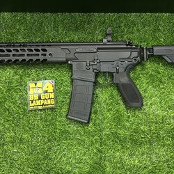 E&C SIG MCX Virtus SBR 9.5" AEG