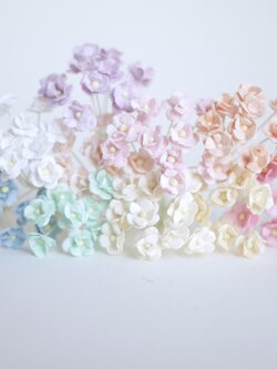 ดอกไม้กระดาษสา ดอกไม้กระดาษสาราคาส่ง ดอกไม้กระดาษสำหรับตกแต่ง งานแต่งงาน หรือติดของชำร่วย ดอก creeping lady 100 ดอก ขนาด 0.8 cm. คละสีพาสเทล Small Paper Flower with stem, , 100 pcs., size 0.8 cm., creeping flowers 2 layers, pastel mixed rainbow color.