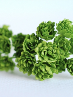 ดอกไม้ประดิษฐ์, ดอกไม้กระดาษสา, ดอก gypsophila, ดอกยิปโซ งานประดิษฐ์ตกแต่งของชำร่วย, ดอกไม้ทำพานพุ่ม,พานพวงมาลัย, พานรับไหว้, ขนาด 1 cm. สีเขียว