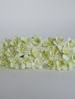 ดอกไม้กระดาษสา ดอกซากุระกระดาษ ขนาดเล็ก ดอกไม้กระดาษสาราคาส่ง ดอกไม้กระดาษสำหรับตกแต่งของชำร่วย งานแต่งงาน ทำช่อดอกไม้ติดอกเจ้าบ่าว ข้อมือดอกไม้เจ้าสาว ขนาด 2.0 cm. 50 ดอก สีเขียวพาสเทลอ่อน Paper flowers supplies: DIY wedding tools small Cherry blossom pa