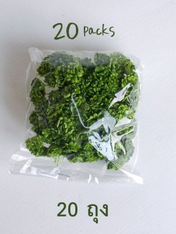 ดอกไม้เขียวทำพานพุ่ม ดอกกะเบง ดอกไม้ประดิษฐ์, ดอกไม้กระดาษสา, ดอก gypsophila, ดอกยิปโซ งานประดิษฐ์ตกแต่งของชำร่วย, ,พานพวงมาลัย, พานรับไหว้, ขนาด 1 cm. สีเขียว 20 ถุง