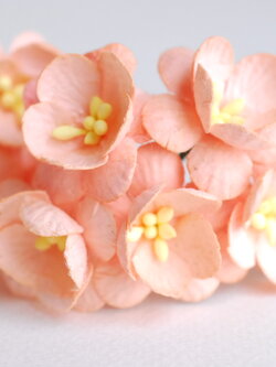 ดอกไม้กระดาษสา ดอกซากุระกระดาษ ดอกไม้กระดาษสาราคาส่ง ดอกไม้กระดาษสำหรับตกแต่งของชำร่วย งานแต่งงาน ทำช่อดอกไม้ติดอกเจ้าบ่าว ข้อมือดอกไม้เจ้าสาว ขนาด2.5 cm. 50 ดอก Paper flowers supplies: DIY wedding tools Cherry blossom (Sakura) 50 pcs. size 2.5 cm.