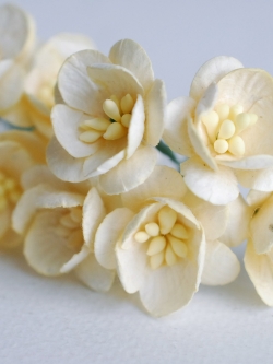 ดอกไม้กระดาษสา ดอกไม้กระดาษสาราคาส่ง ดอกไม้กระดาษสำหรับตกแต่งของชำร่วย งานแต่งงาน ทำช่อดอกไม้ติดอกเจ้าบ่าว ข้อมือดอกไม้เจ้าสาว ขนาด2.5 cm. 50 ดอก Paper flowers supplies: DIY wedding tools Cherry blossom (Sakura) 50 pcs. size 2.5 cm. Ivory color. สำเนา