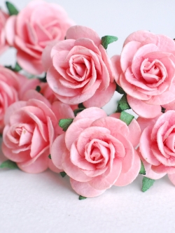 ดอกไม้กระดาษ ดอกไม้กระดาษสา ราคาส่ง,ดอกไม้กุหลาบกระดาษ ดอกกุหลาบกระดาษสา ดอกไม้ประดิษฐ์ สำหรับตกแต่ง หรืองานแต่งงาน สีpeachเข้ม(สีชมพูพีช)ขนาด 2.5 cm. จำนวน 50 ดอก