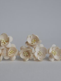 ดอกไม้กระดาษสา ดอกซากุระกระดาษ ขนาดเล็ก ดอกไม้กระดาษสาราคาส่ง ดอกไม้กระดาษสำหรับตกแต่งของชำร่วย งานแต่งงาน ทำช่อดอกไม้ติดอกเจ้าบ่าว ข้อมือดอกไม้เจ้าสาว ขนาด 2.5 cm. 50 ดอก สีเหลืองไข่ Paper flowers supplies: DIY wedding tools small Cherry blossom (Sakura)