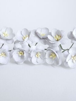 ดอกไม้กระดาษสา ดอกซากุระกระดาษ ดอกไม้กระดาษสาราคาส่ง ดอกไม้กระดาษสำหรับตกแต่งของชำร่วย งานแต่งงาน ทำช่อดอกไม้ติดอกเจ้าบ่าว ข้อมือดอกไม้เจ้าสาว ขนาด2.5 cm. 50 ดอก สีเทาอ่อน Paper flowers supplies: DIY wedding tools Cherry blossom (Sakura) 50 pcs. size 2.5 