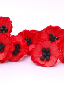 ดอกไม้กระดาษสา ดอกไม้กระดาษสา จตุจักร งานประดิษฐ์ ดอกไม้ทำข้อมือเพื่อนเจ้าสาว แต่งงาน,Red Poppy, ดอกไม้กระดาษ poppy สีแดง Red colorขนาด 2.00 cm. สำเนา