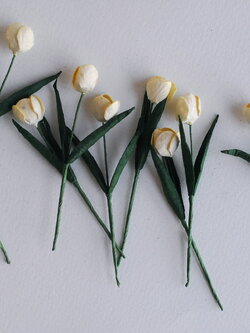 ดอกไม้ประดิษฐ์, ดอกไม้กระดาษสา, ดอกtulips, ดอกทิวลิปส์, ก้านสีเขียว เกสรสีขาว งานประดิษฐ์ตกแต่งของชำร่วย,ทำการ์ดรับเชิญ,ช่อดอกไม้ขนาดเล็ก, ขนาด 1.5 cm. สีขาวครีม