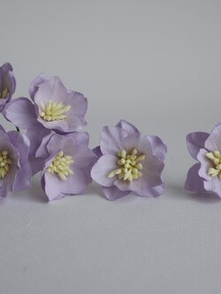 ดอกไม้กระดาษสา ดอกโลตัสอินโดนิเซียกระดาษ ดอกไม้กระดาษสาราคาส่ง ดอกไม้กระดาษสำหรับตกแต่งของชำร่วย งานแต่งงาน ทำช่อดอกไม้ติดอกเจ้าบ่าว ข้อมือดอกไม้เจ้าสาว ขนาด3.5 cm. 25 ดอก สีวม่วงพาสเทล 188 Paper flowers supplies: DIY wedding tools Big Cherry blossom (Lot