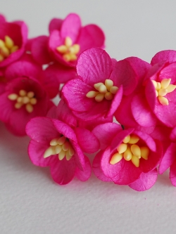 ดอกไม้กระดาษสา ดอกซากุระกระดาษ ดอกไม้กระดาษสาราคาส่ง ดอกไม้กระดาษสำหรับตกแต่งของชำร่วย งานแต่งงาน ทำช่อดอกไม้ติดอกเจ้าบ่าว ข้อมือดอกไม้เจ้าสาว ขนาด2.5 cm. 50 ดอก สีชมพูบานเย็น Paper flowers supplies: DIY wedding tools Cherry blossom (Sakura) 50 pcs. size 