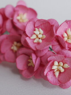 ดอกไม้กระดาษสา ดอกซากุระกระดาษ ดอกโบตั๋น ดอกไม้กระดาษสาราคาส่ง ดอกไม้กระดาษสำหรับตกแต่งของชำร่วย งานแต่งงาน ทำช่อดอกไม้ติดอกเจ้าบ่าว ข้อมือดอกไม้เจ้าสาว ขนาด2.5 cm. 50 ดอก Paper flowers supplies: DIY wedding tools Cherry blossom (Sakura) 50 pcs. size 2.5