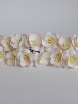 ดอกไม้กระดาษสา ดอกซากุระกระดาษ ดอกไม้กระดาษสาราคาส่ง ดอกไม้กระดาษสำหรับตกแต่งของชำร่วย งานแต่งงาน ทำช่อดอกไม้ติดอกเจ้าบ่าว ข้อมือดอกไม้เจ้าสาว ขนาด2.5 cm. 50 ดอก สีม่วงชมพูอ่อนปัดขาว Paper flowers supplies: DIY wedding tools Cherry blossom (Sakura) 50 pcs