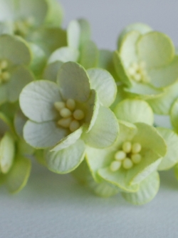 ดอกไม้กระดาษสา ดอกซากุระกระดาษ ดอกไม้กระดาษสาราคาส่ง ดอกไม้กระดาษสำหรับตกแต่งของชำร่วย งานแต่งงาน ทำช่อดอกไม้ติดอกเจ้าบ่าว ข้อมือดอกไม้เจ้าสาว ขนาด2.5 cm. 50 ดอก สีเขียวอ่อน Paper flowers supplies: DIY wedding tools Cherry blossom (Sakura) 50 pcs. size 2.