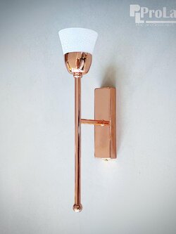 โคมไฟติดผนังภายใน BG3849/1 RG