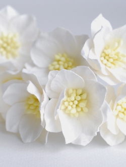 ดอกไม้กระดาษสา ดอกโลตัสอินโดนิเซียกระดาษ ดอกไม้กระดาษสาราคาส่ง ดอกไม้กระดาษสำหรับตกแต่งของชำร่วย งานแต่งงาน ทำช่อดอกไม้ติดอกเจ้าบ่าว ข้อมือดอกไม้เจ้าสาว ขนาด3.5 cm. 25 ดอก สีออฟไวท์ Paper flowers supplies: DIY wedding tools Big Cherry blossom