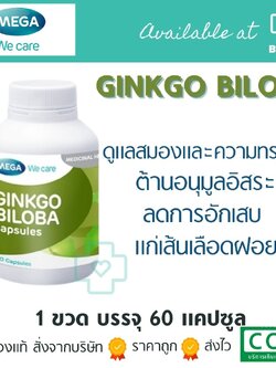 Mega GinkGo biloba Extract 40 mg 60 caps. เมก้า กิงโกะ ไบโลบ้า 40มก. 60 แคปซูล
