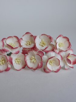 ดอกไม้กระดาษสา ดอกซากุระกระดาษขนาดเล็ก ดอกไม้กระดาษสาราคาส่ง ดอกไม้กระดาษสำหรับตกแต่งของชำร่วย งานแต่งงาน ทำช่อดอกไม้ติดอกเจ้าบ่าว ข้อมือดอกไม้เจ้าสาว ขนาด 2.5 cm. 50 ดอก Paper flowers supplies: DIY wedding tools Small Cherry blossom (Sakura) 50 pcs. size