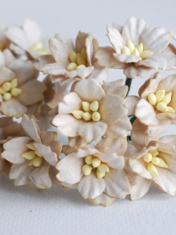 ดอกไม้กระดาษสา ดอกซากุระกระดาษ ขนาดเล็ก ดอกไม้กระดาษสาราคาส่ง ดอกไม้กระดาษสำหรับตกแต่งของชำร่วย งานแต่งงาน ทำช่อดอกไม้ติดอกเจ้าบ่าว ข้อมือดอกไม้เจ้าสาว ขนาด2.0 cm. 50 ดอก สีน้ำตาลอ่อนPaper flowers supplies: DIY wedding tools small Cherry blossom (Sakura)