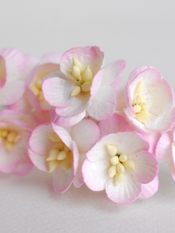 ดอกไม้กระดาษสา ดอกซากุระกระดาษ ดอกไม้กระดาษสาราคาส่ง ดอกไม้กระดาษสำหรับตกแต่งของชำร่วย งานแต่งงาน ทำช่อดอกไม้ติดอกเจ้าบ่าว ข้อมือดอกไม้เจ้าสาว ขนาด2.5 cm. 50 ดอก สีชมพูปัด Paper flowers supplies: DIY wedding tools Cherry blossom (Sakura) 50 pcs. size 2.5 