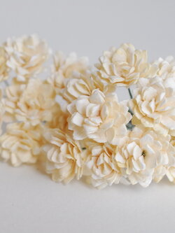 ดอกไม้ประดิษฐ์, ดอกไม้กระดาษสา, ดอก gypsophila, ดอกยิปโซ งานประดิษฐ์ตกแต่งของชำร่วย, ดอกไม้ทำพานพุ่ม,พานพวงมาลัย, พานรับไหว้, ขนาด 2 cm. สีครีม