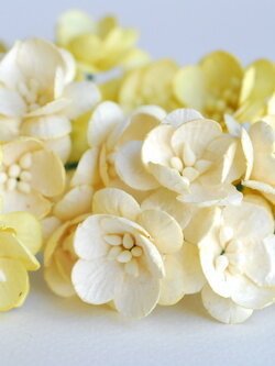 mixed ดอกไม้กระดาษสา ดอกไม้กระดาษสาราคาส่ง ดอกไม้กระดาษสำหรับตกแต่งของชำร่วย งานแต่งงาน ทำช่อดอกไม้ติดอกเจ้าบ่าว ข้อมือดอกไม้เจ้าสาว ขนาด2.5 cm. 50 ดอก สีครีมและสีเหลือง Paper flowers supplies: DIY wedding tools Cherry blossom (Sakura) 50 pcs. size 2.5 cm