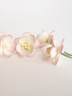 ดอกไม้กระดาษสา ดอกซากุระกระดาษ ดอกไม้กระดาษสาราคาส่ง ดอกไม้กระดาษสำหรับตกแต่งของชำร่วย งานแต่งงาน ทำช่อดอกไม้ติดอกเจ้าบ่าว ข้อมือดอกไม้เจ้าสาว ขนาด2.5 cm. 50 ดอก สีเบอรี่ปัดครีม Paper flowers supplies: DIY wedding tools Cherry blossom (Sakura) 50 pcs. siz