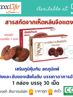 EXP. 06/01/23 MaxxLife เห็ดหลินจือแดง 30 แคปซูล.