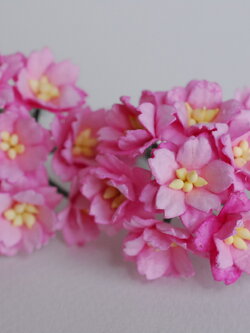 ดอกไม้กระดาษสา ดอกซากุระกระดาษ ขนาดเล็ก ดอกไม้กระดาษสาราคาส่ง ดอกไม้กระดาษสำหรับตกแต่งของชำร่วย งานแต่งงาน ทำช่อดอกไม้ติดอกเจ้าบ่าว ข้อมือดอกไม้เจ้าสาว ขนาด2.0 cm. 50 ดอก สีชมพู Paper flowers supplies: DIY wedding tools small Cherry blossom (Sakura) Pink 