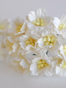 ดอกไม้กระดาษสา ดอกซากุระกระดาษ ขนาดเล็ก ดอกไม้กระดาษสาราคาส่ง ดอกไม้กระดาษสำหรับตกแต่งของชำร่วย งานแต่งงาน ทำช่อดอกไม้ติดอกเจ้าบ่าว ข้อมือดอกไม้เจ้าสาว ขนาด2.0 cm. 50 ดอก สี ofwhite Paper flowers supplies: DIY wedding tools small Cherry blossom (Sakura)