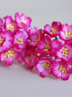 ดอกไม้กระดาษสา ดอกซากุระกระดาษ ขนาดเล็ก ดอกไม้กระดาษสาราคาส่ง ดอกไม้กระดาษสำหรับตกแต่งของชำร่วย งานแต่งงาน ทำช่อดอกไม้ติดอกเจ้าบ่าว ข้อมือดอกไม้เจ้าสาว ขนาด2.0 cm. 50 ดอก สีชมพูบานเย็นปัด Paper flowers supplies: DIY wedding tools small Cherry blossom