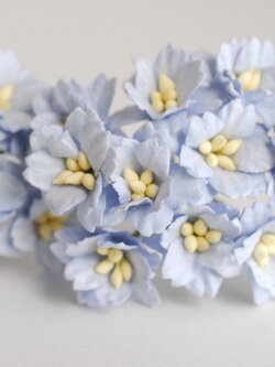 ดอกไม้กระดาษสา ดอกซากุระกระดาษ ขนาดเล็ก ดอกไม้กระดาษสาราคาส่ง ดอกไม้กระดาษสำหรับตกแต่งของชำร่วย งานแต่งงาน ทำช่อดอกไม้ติดอกเจ้าบ่าว ข้อมือดอกไม้เจ้าสาว ขนาด2.0 cm. 50 ดอก สีฟ้าตุ่น Paper flowers supplies: DIY wedding tools small Cherry blossom (Sakura) 50