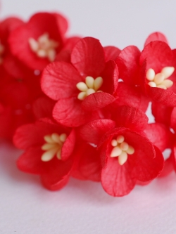 ดอกไม้กระดาษสา ดอกซากุระกระดาษ ดอกไม้กระดาษสาราคาส่ง ดอกไม้กระดาษสำหรับตกแต่งของชำร่วย งานแต่งงาน ทำช่อดอกไม้ติดอกเจ้าบ่าว ข้อมือดอกไม้เจ้าสาว ขนาด2.5 cm. 50 ดอก Paper flowers supplies: DIY wedding tools Cherry blossom (Sakura) 50 pcs. size 2.5 cm. สีแดง