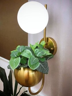 โคมไฟติดผนังภายใน 9990-1W