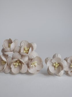 ดอกไม้กระดาษสา ดอกซากุระกระดาษขนาดเล็ก ดอกไม้กระดาษสาราคาส่ง ดอกไม้กระดาษสำหรับตกแต่งของชำร่วย งานแต่งงาน ทำช่อดอกไม้ติดอกเจ้าบ่าว ข้อมือดอกไม้เจ้าสาว ขนาด 2.5 cm. 50 ดอก สีน้ำตาลอ่อน Paper flowers supplies: DIY wedding tools Small Cherry blossom (Sakura)