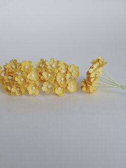 ดอกไม้กระดาษสา ดอกซากุระกระดาษขนาดเล็ก ดอกไม้กระดาษสาราคาส่ง ดอกไม้กระดาษสำหรับตกแต่งของชำร่วย งานแต่งงาน ทำช่อดอกไม้ติดอกเจ้าบ่าว ข้อมือดอกไม้เจ้าสาว ขนาด 1.5 cm. 50 ดอก สีเหลือง Paper flowers supplies: DIY wedding tools Small Cherry blossom (Sakura) 50 