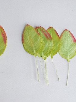 ใบไม้กระดาษ ใบไม้กระดาษสา ราคาส่ง,ใบไม่้กุหลาบกระดาษ สำหรับดอกกุหลาบกระดาษสา ใบไม้ประดิษฐ์ สำหรับตกแต่ง หรืองานแต่งงาน สีเขียวปัดแดง ขนาด6x4.5 cm. จำนวน 50 ใบ