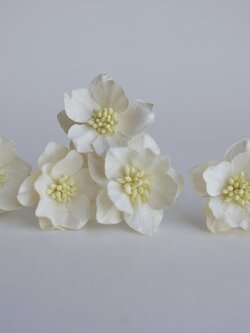 ดอกไม้กระดาษสา ดอกโลตัสอินโดนิเซียกระดาษ ดอกไม้กระดาษสาราคาส่ง ดอกไม้กระดาษสำหรับตกแต่งของชำร่วย งานแต่งงาน ช่อดอกไม้ติดอกเจ้าบ่าว ข้อมือดอกไม้เจ้าสาว ขนาด3.5 cm. 25 ดอก สีครีม งาช้างอ่อน Paper flowers supplies: DIY wedding tools Big Cherry blossom ivory 