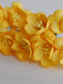 ดอกไม้กระดาษสา ดอกซากุระกระดาษ ขนาดเล็ก ดอกไม้กระดาษสาราคาส่ง ดอกไม้กระดาษสำหรับตกแต่งของชำร่วย งานแต่งงาน ทำช่อดอกไม้ติดอกเจ้าบ่าว ข้อมือดอกไม้เจ้าสาว ขนาด2.0 cm. 50 ดอก สีเหลืองกลาง Paper flowers supplies: DIY wedding tools small Cherry blossom (Sakura)