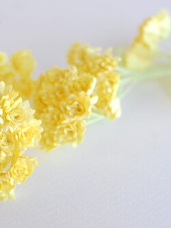 ดอกไม้ประดิษฐ์, ดอกไม้กระดาษสา, ดอก gypsophila, ดอกยิปโซ งานประดิษฐ์ตกแต่งของชำร่วย, ดอกไม้ทำพานพุ่ม, พานรับไหว้, ขนาด 1 cm. สีเหลือง