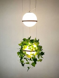 โคมไฟแขวน BALL/2 (PLANT) ต้นไม้เทียมสไตล์สดชื่น