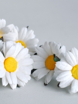 ดอกทานตะวันกระดาษ ดอกไม้กระดาษสา ดอกไม้ประดิษฐ์จากกระดาษสา ดอกทานตะวัน ดอกไม้กระดาษสาขายส่ง ดอกไม้ประดิษฐ์ ดอกไม้ทำข้อมือเพื่อนเจ้าสาว ขนาด 4.5 cm. จำนวน 25 ดอก สีขาว เกสรสีเหลือง Paper Flower, Sun Flowers, white color, size 4.5 cm 25pieces, yellow pollen