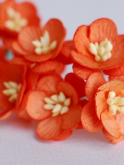 ดอกไม้กระดาษสา ดอกซากุระกระดาษสีส้ม ดอกไม้กระดาษสาราคาส่ง ดอกไม้กระดาษสำหรับตกแต่งของชำร่วย งานแต่งงาน ทำช่อดอกไม้ติดอกเจ้าบ่าว ข้อมือดอกไม้เจ้าสาว ขนาด2.5 cm. 50 ดอก Paper flowers supplies: DIY wedding tools Cherry blossom (Sakura) 50 pcs. size 2.5 cm.